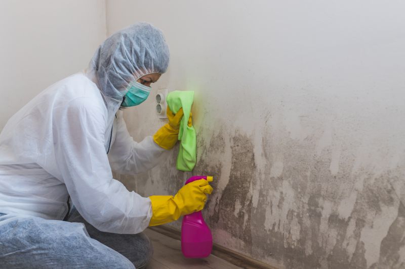 Air Duct Mold Removal in Essex County, NJ