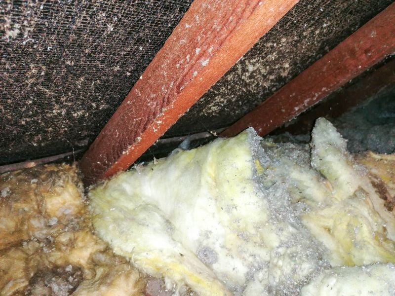 Asbestos Abatement in Old Bridge, NJ