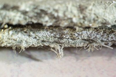 Asbestos Mitigation in Somerset County, NJ