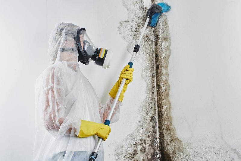 Attic Mold Remediation in Jupiter, FL