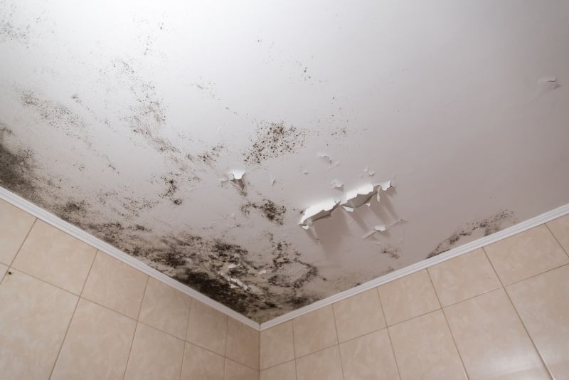 Attic Mold Removal in West Palm Beach, FL