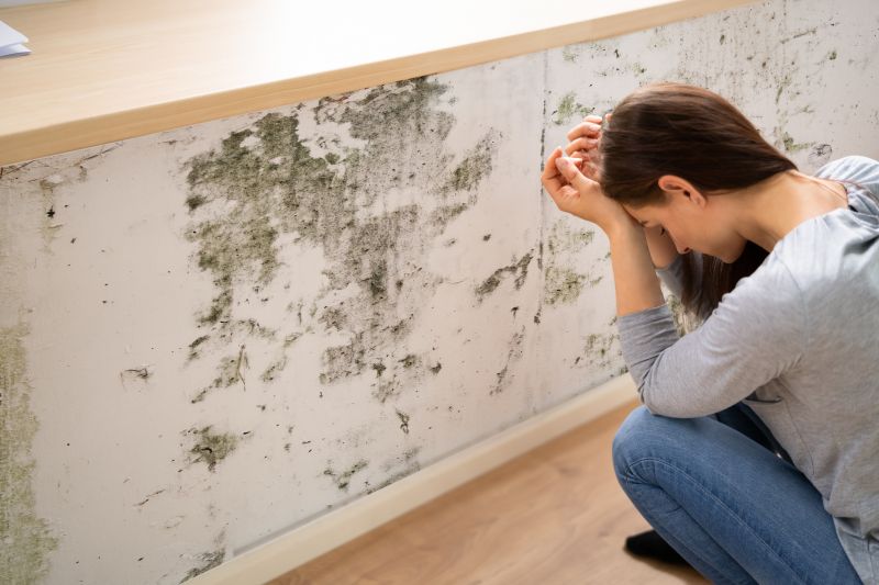 Attic Mold Removal in Boca Raton, FL