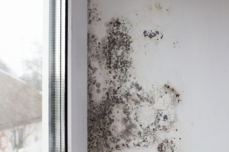 Attic Mold Removal in Boca Raton, FL