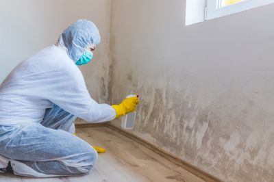 Attic Mold Removal in Jupiter, FL