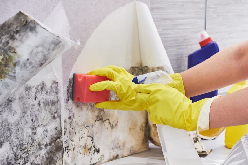 Basement Mold Removal in Frisco, TX