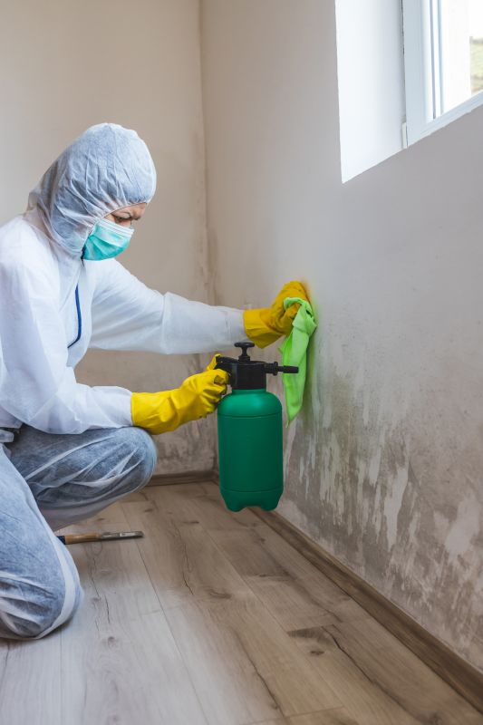 Basement Mold Removal in Fort Worth, TX