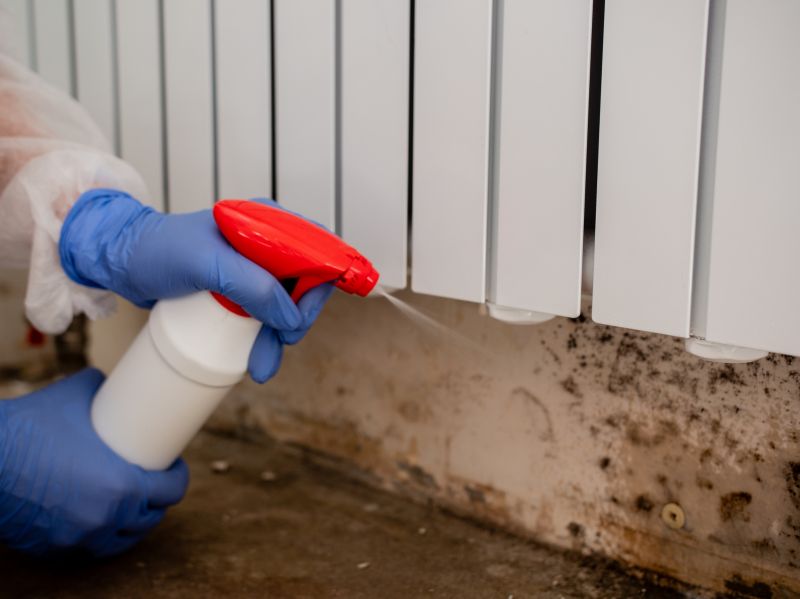 Black Mold Remediation in West Palm Beach, FL