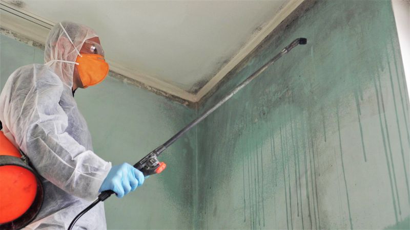 Crawlspace Mold Remediation in Bergen County, NJ