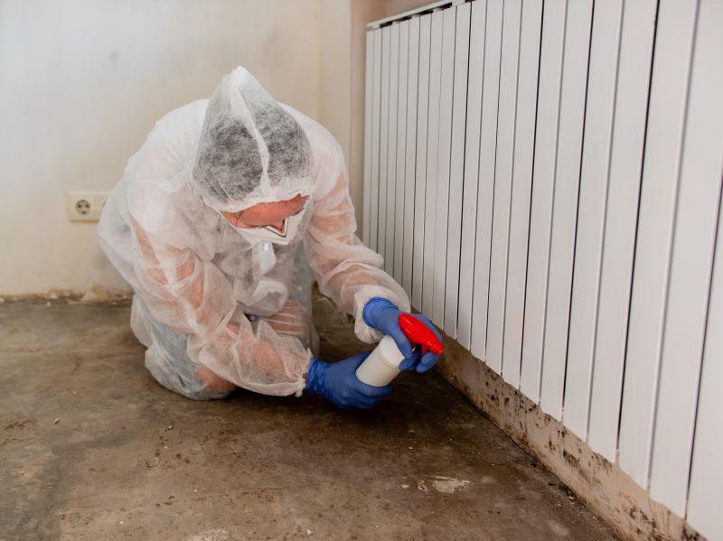 Crawlspace Mold Remediation in Broward County, FL