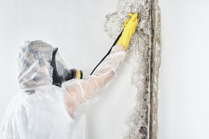 Mold Abatement in Fort Lauderdale, FL