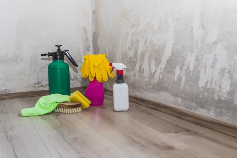 Mold Cleanup Service in Essex County, NJ