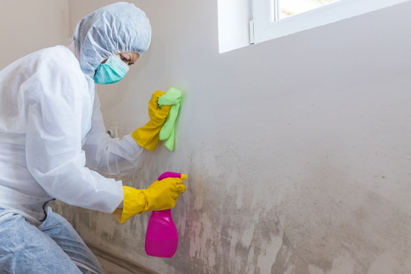 Mold Cleanup Service in Fort Worth, TX