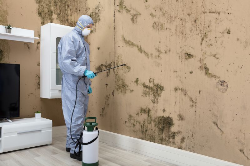 Mold Detection in Jupiter, FL