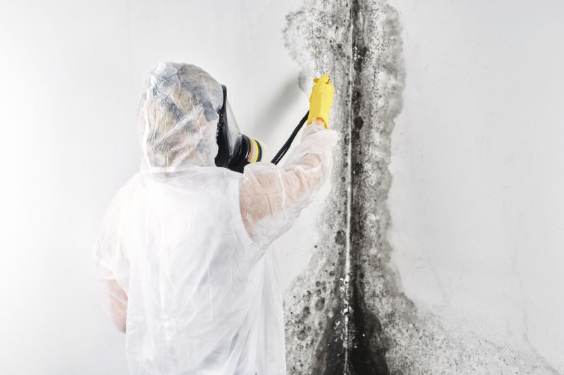 Mold Remediation Service in Jupiter, FL