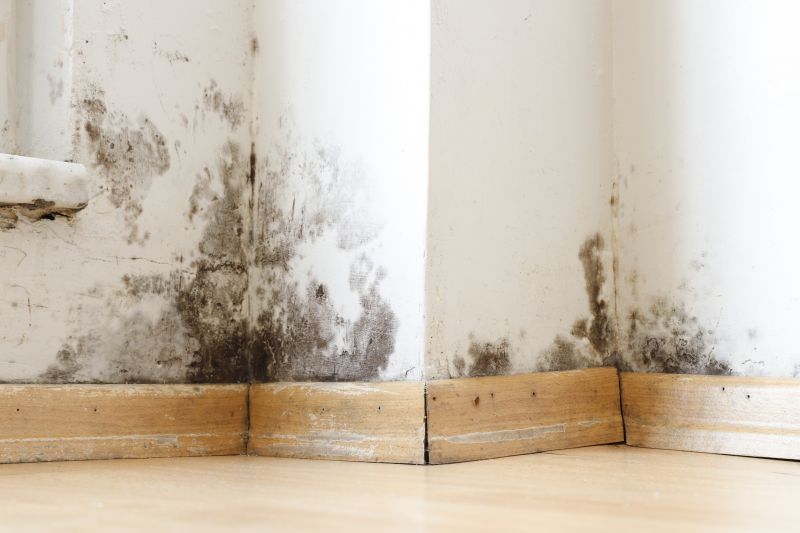 Mold Restoration in Bergen County, NJ