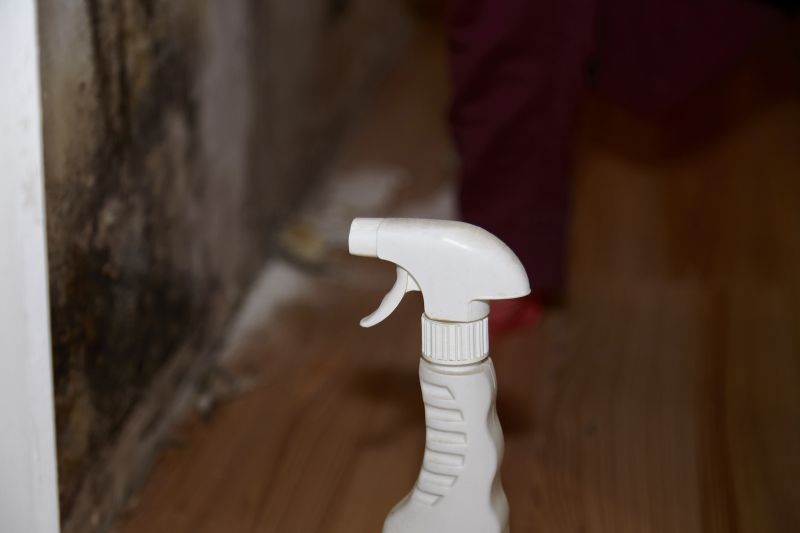 White Mold Mitigation in Jupiter, FL