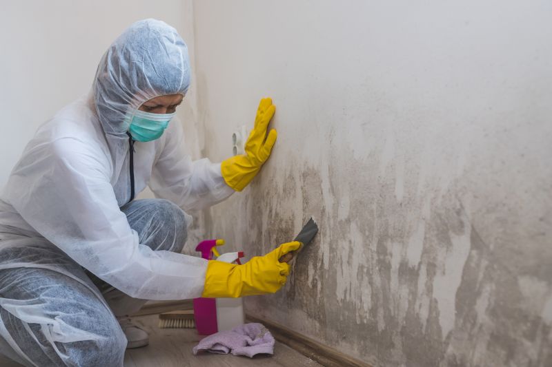 Air Duct Mold Removal in Jupiter, FL