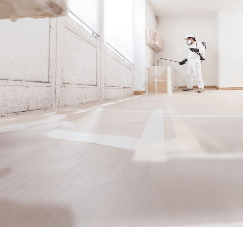 Mold Restoration in Frisco, TX